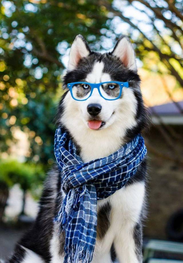 daily picdump weekend edition 72 pics 36.html - 72 HD Photos | Premium Gallery 2018