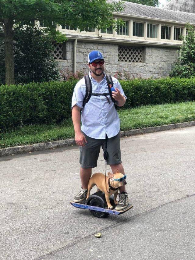 daily picdump weekend edition 72 pics 36.html - 72 HD Photos | Premium Gallery 2018