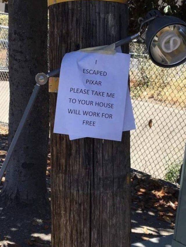 daily picdump weekend edition 72 pics 36.html - 72 HD Photos | Premium Gallery 2018