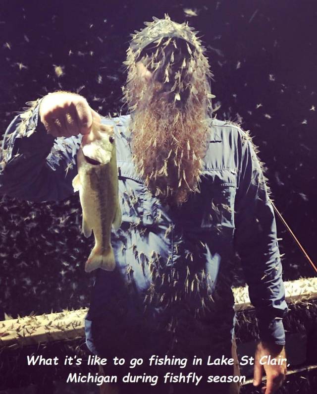 daily picdump 98 pics 4.html - 98 HD Photos | Premium Gallery 2018