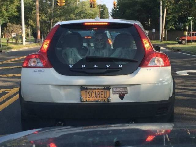 funny picdump 54 pics 22.html - 54 HD Photos | Premium Gallery 2018