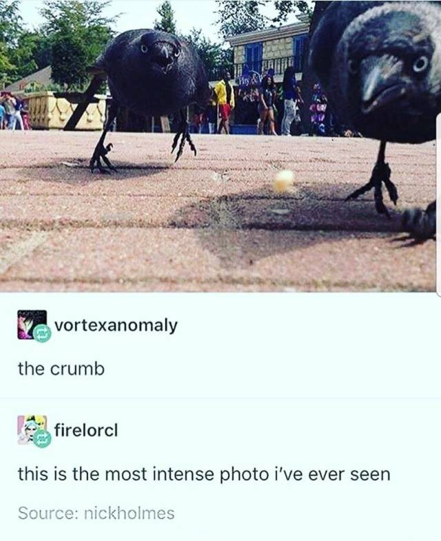 funny picdump 54 pics 22.html - 54 HD Photos | Premium Gallery 2018