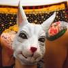 bouncy things are why we love internet 30 gifs.html - 1 HD GIF | Premium Gallery 2019