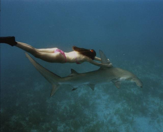 daily picdump 94 pics 42.html - 94 HD Photos | Premium Gallery 2018