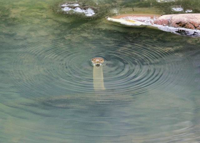 morning picdump 49 pics 25.html - 49 HD Photos | Premium Gallery 2018