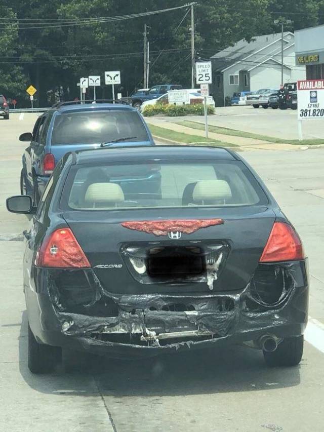 morning picdump 49 pics 25.html - 49 HD Photos | Premium Gallery 2018