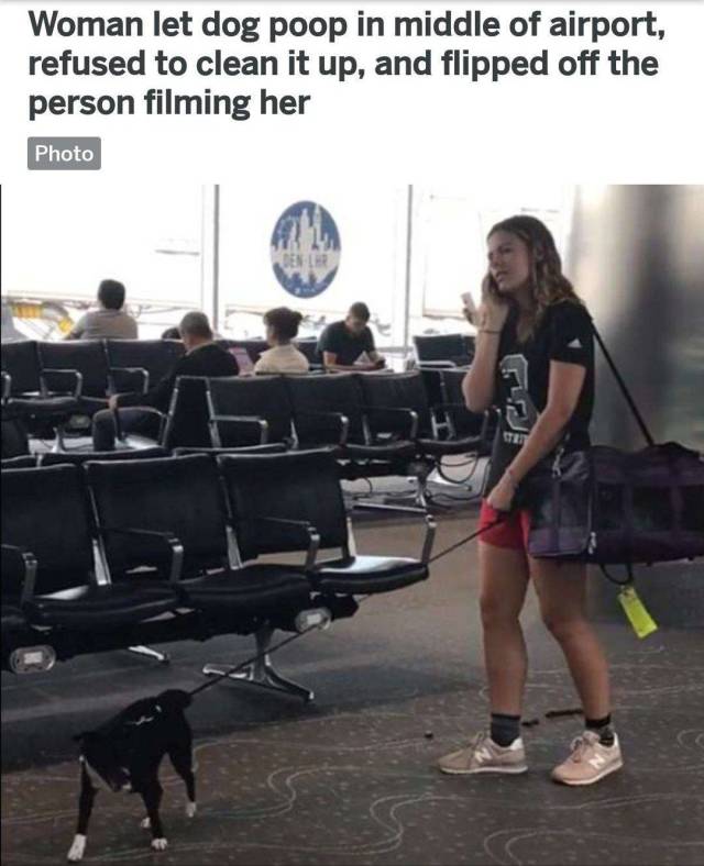 daily picdump 98 pics 13.html - 98 HD Photos | Premium Gallery 2018