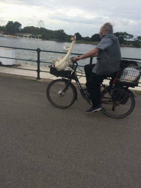 morning picdump 50 pics 39.html - 50 HD Photos | Premium Gallery 2018