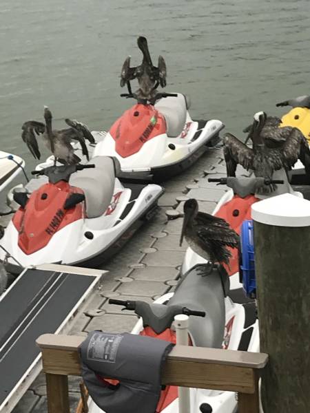 morning picdump 50 pics 39.html - 50 HD Photos | Premium Gallery 2018