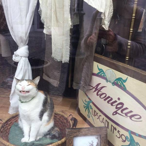 daily picdump 96 pics 30.html - 96 HD Photos | Premium Gallery 2018