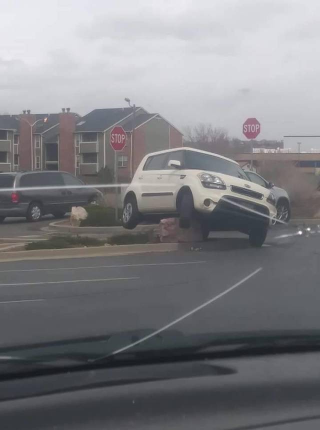 daily picdump 96 pics 30.html - 96 HD Photos | Premium Gallery 2018