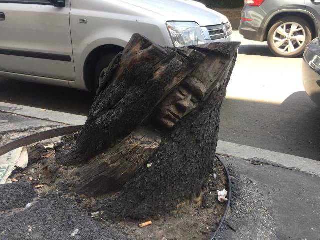 morning picdump 51 pics 1.html - 51 HD Photos | Premium Gallery 2018