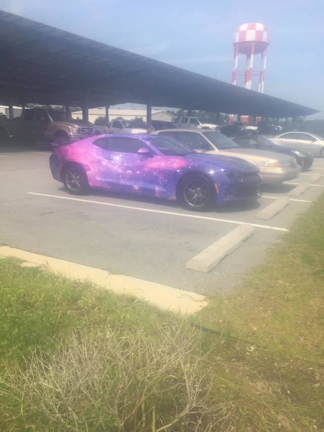 morning picdump 51 pics 1.html - 51 HD Photos | Premium Gallery 2018