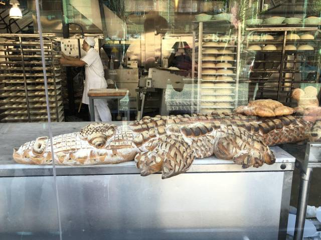 daily picdump 97 pics 19.html - 97 HD Photos | Premium Gallery 2018