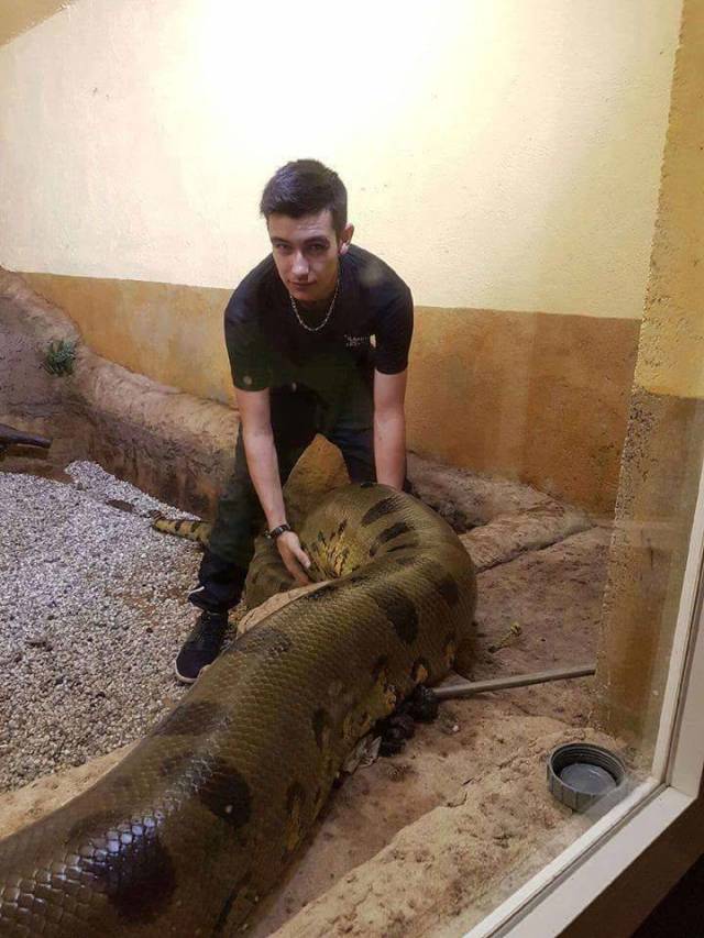 daily picdump 97 pics 19.html - 97 HD Photos | Premium Gallery 2018