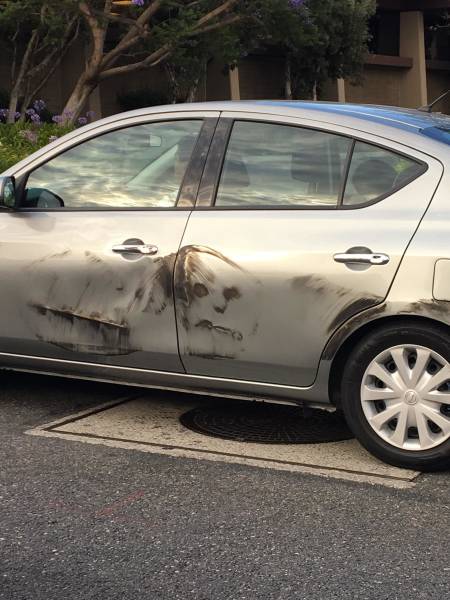 morning picdump 53 pics 19.html - 53 HD Photos | Premium Gallery 2018