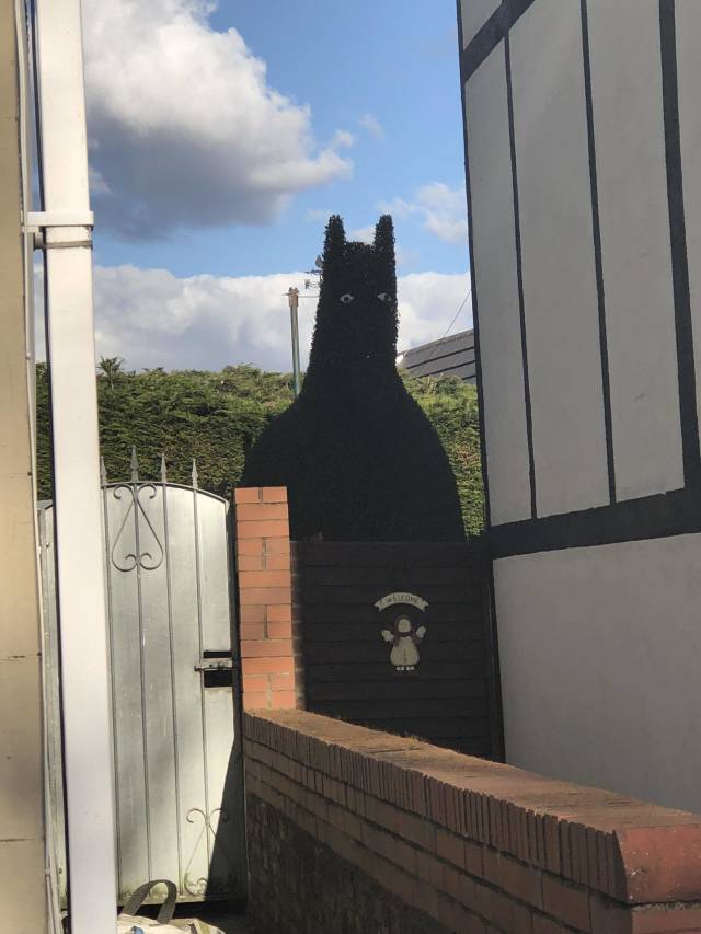 morning picdump 53 pics 19.html - 53 HD Photos | Premium Gallery 2018