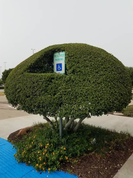 morning picdump 51 pics 1.html - 51 HD Photos | Premium Gallery 2018