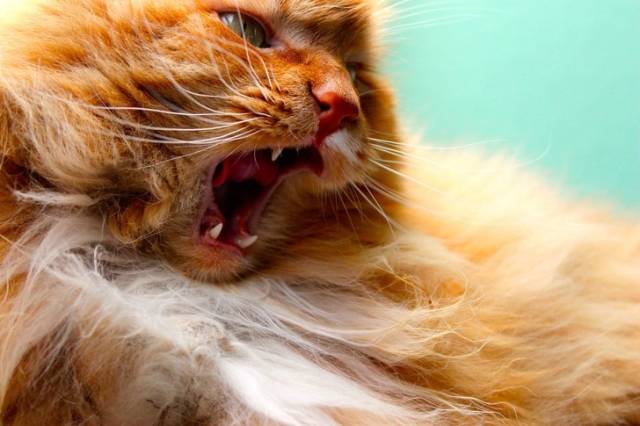 Luck Is Everything You Need!