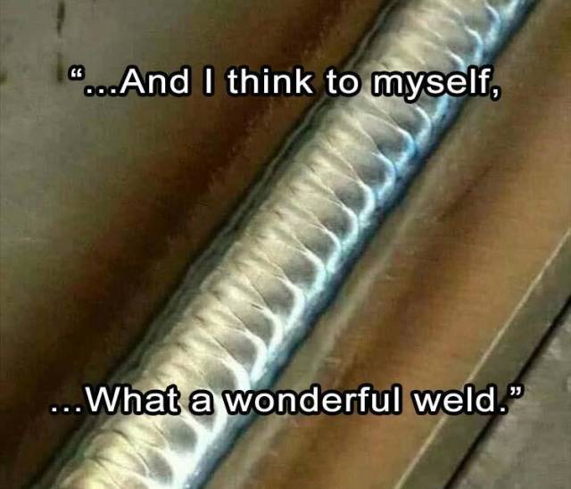 funny picdump 55 pics 2.html - 55 HD Photos | Premium Gallery 2018