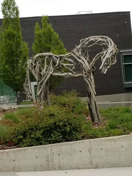 morning picdump 50 pics 18.html - 50 HD Photos | Premium Gallery 2018