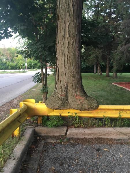 morning picdump 50 pics 18.html - 50 HD Photos | Premium Gallery 2018