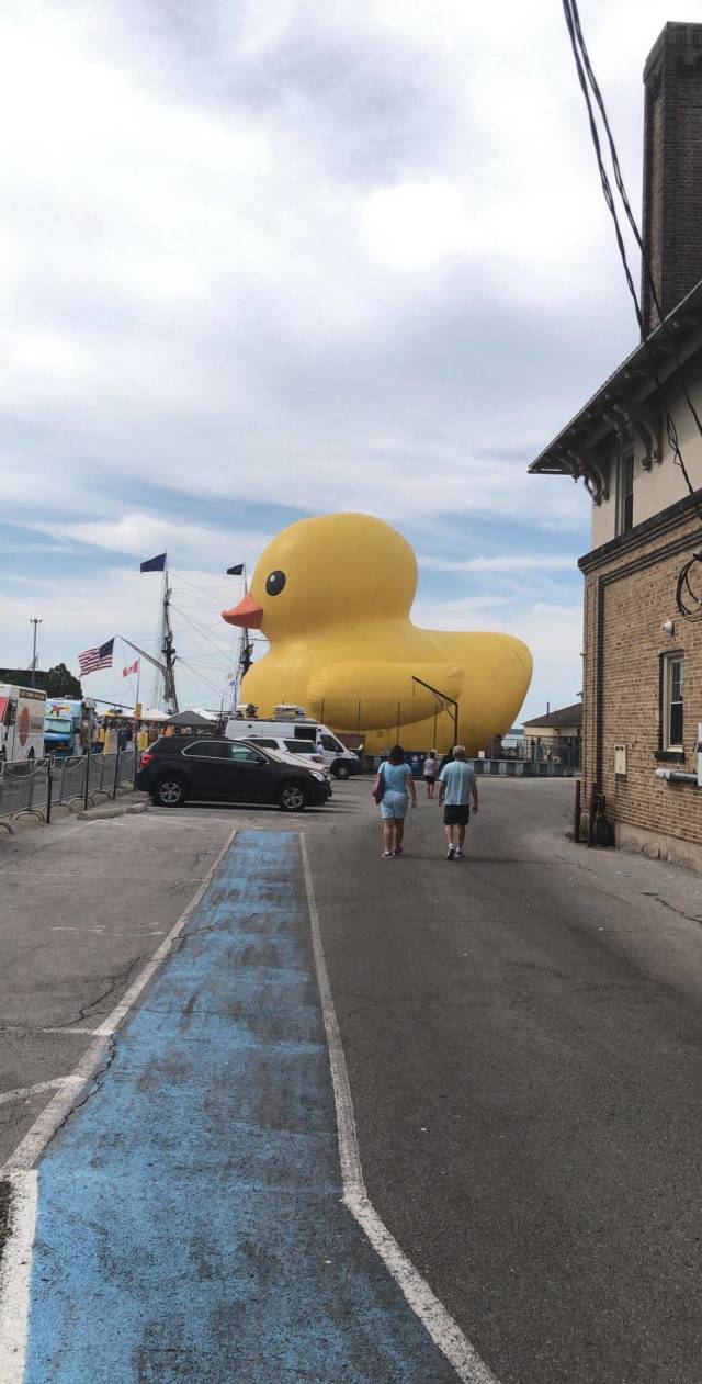 morning picdump 50 pics 18.html - 50 HD Photos | Premium Gallery 2018