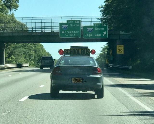 daily picdump weekend edition 63 pics 14.html - 63 HD Photos | Premium Gallery 2018