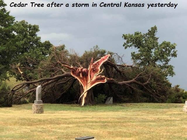 daily picdump weekend edition 63 pics 14.html - 63 HD Photos | Premium Gallery 2018