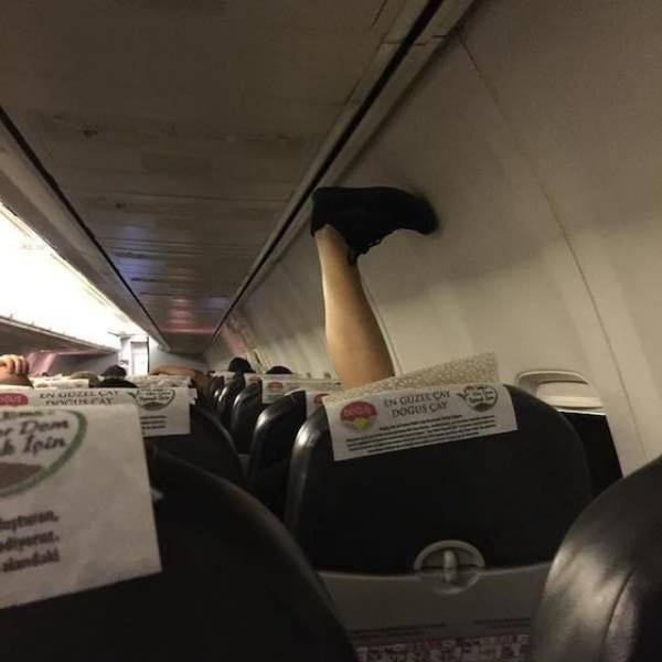 daily picdump weekend edition 63 pics 14.html - 63 HD Photos | Premium Gallery 2018