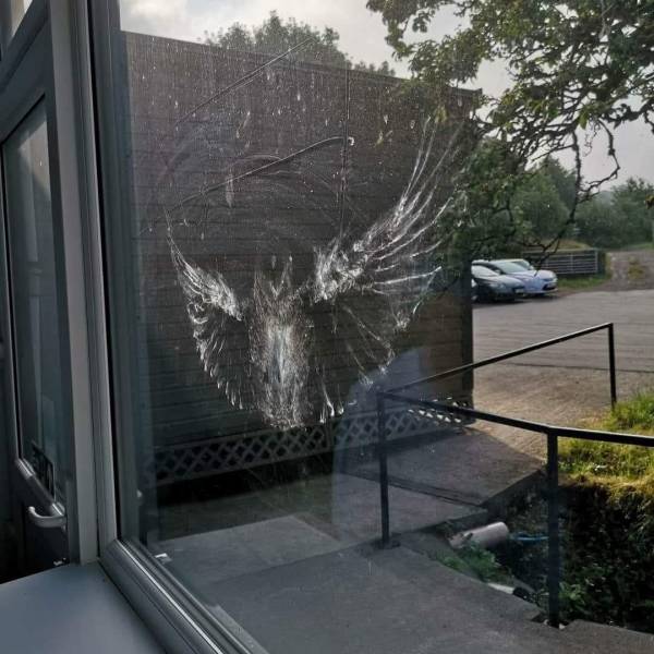 daily picdump weekend edition 63 pics 14.html - 63 HD Photos | Premium Gallery 2018