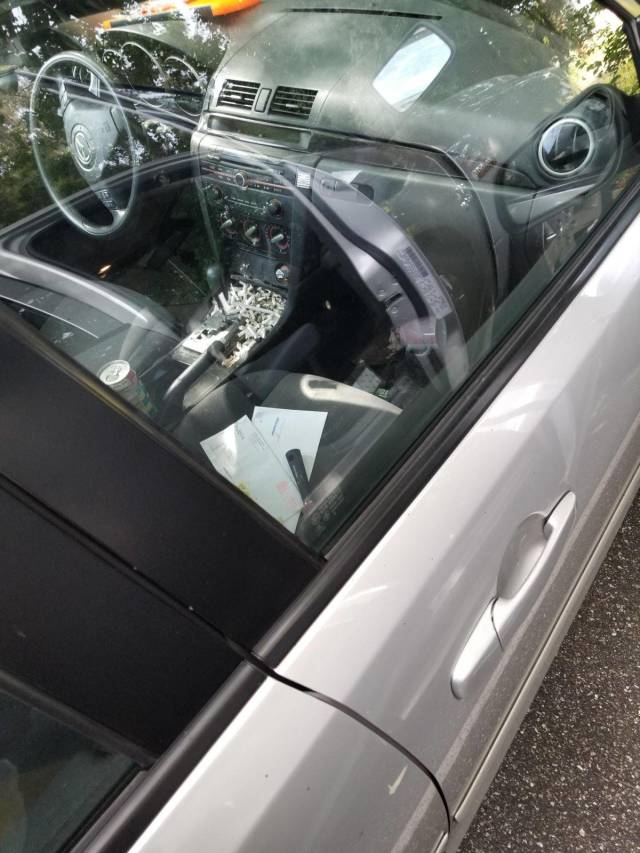 daily picdump weekend edition 63 pics 14.html - 63 HD Photos | Premium Gallery 2018