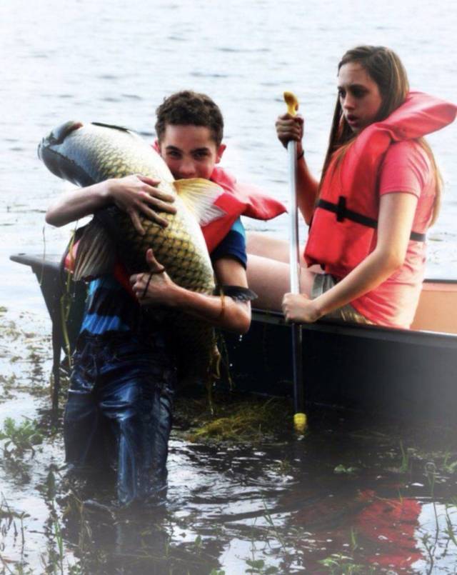 daily picdump weekend edition 63 pics 14.html - 63 HD Photos | Premium Gallery 2018