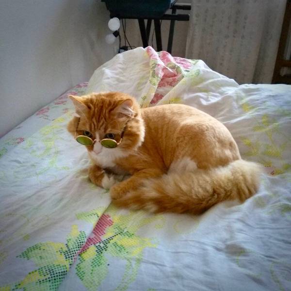 daily picdump 101 pics 38.html - 101 HD Photos | Premium Gallery 2018