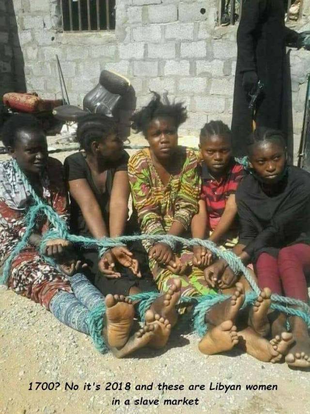 daily picdump 101 pics 38.html - 101 HD Photos | Premium Gallery 2018