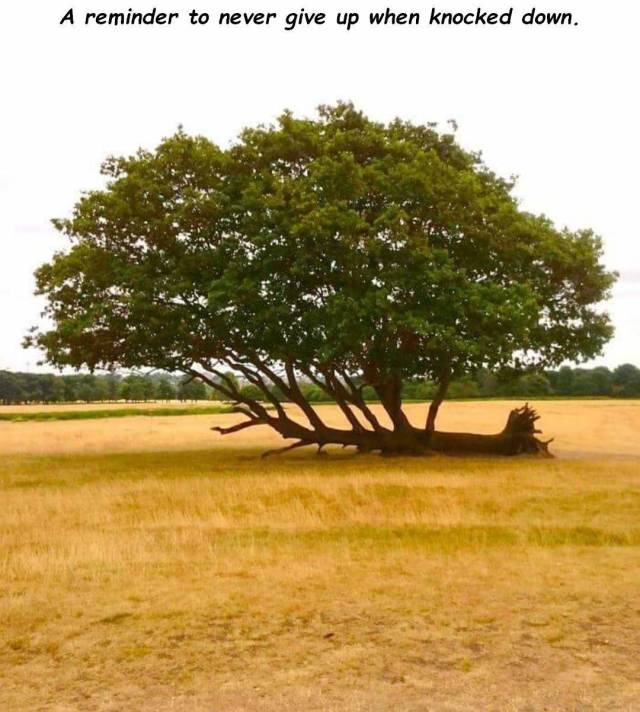 daily picdump 101 pics 38.html - 101 HD Photos | Premium Gallery 2018