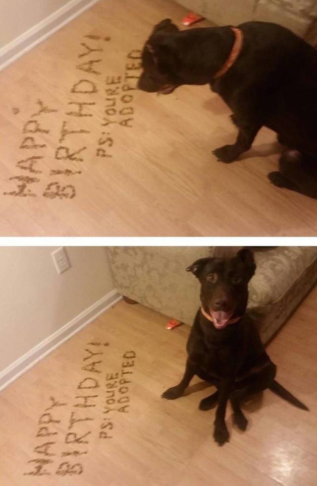 daily picdump 101 pics 38.html - 101 HD Photos | Premium Gallery 2018