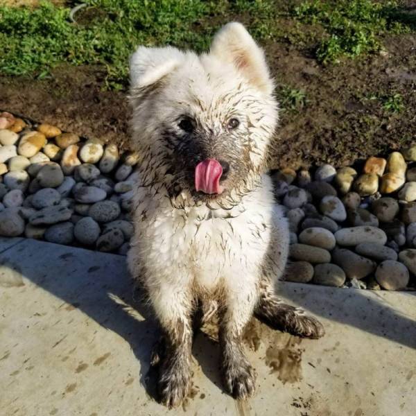 daily picdump 106 pics 9.html - 106 HD Photos | Premium Gallery 2018