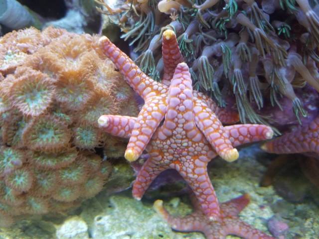 daily picdump 106 pics 9.html - 106 HD Photos | Premium Gallery 2018