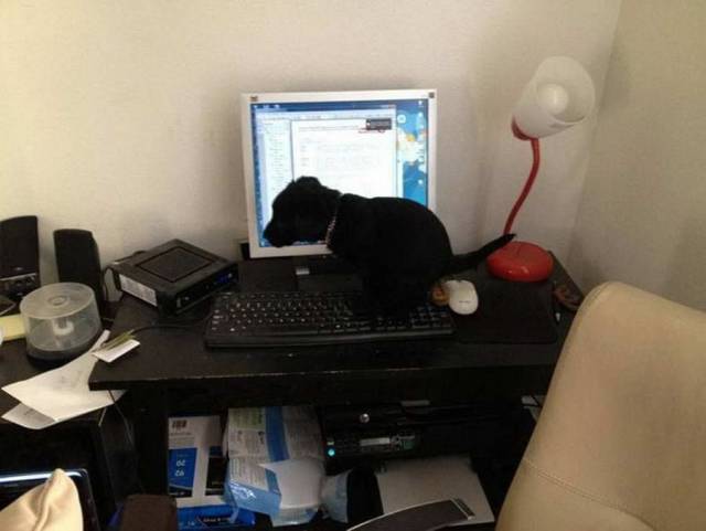 daily picdump 106 pics 9.html - 106 HD Photos | Premium Gallery 2018