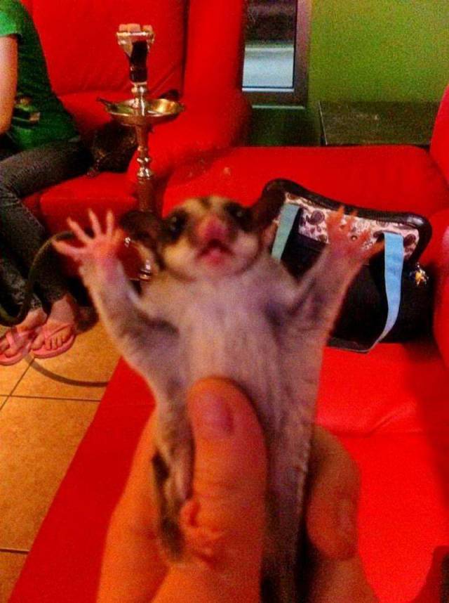 daily picdump 106 pics 9.html - 106 HD Photos | Premium Gallery 2018