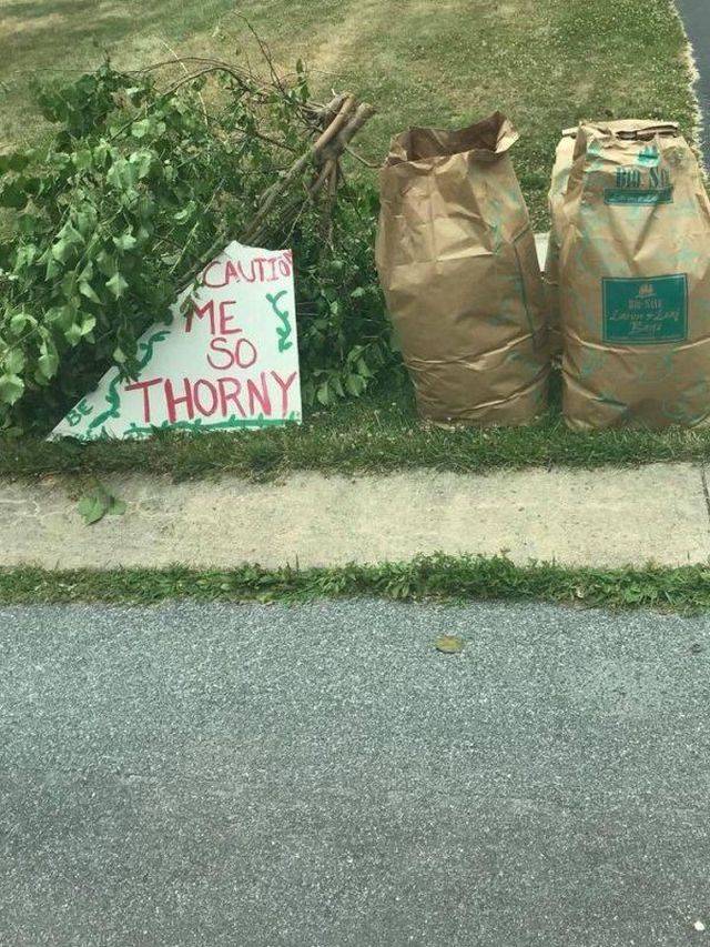 daily picdump 106 pics 9.html - 106 HD Photos | Premium Gallery 2018