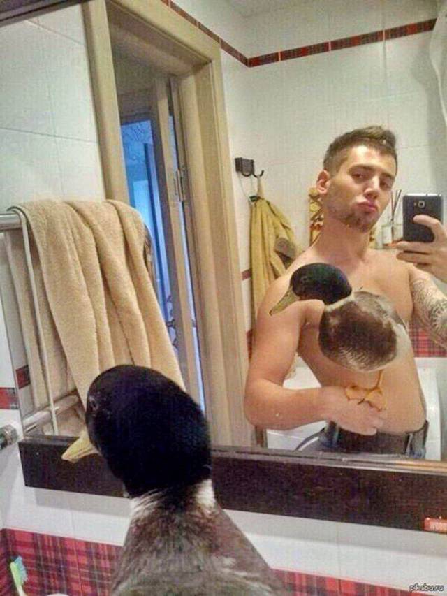 daily picdump 106 pics 9.html - 106 HD Photos | Premium Gallery 2018