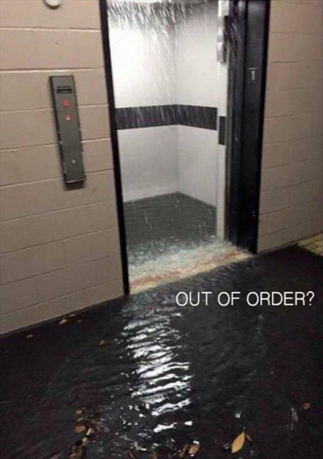 daily picdump 106 pics 9.html - 106 HD Photos | Premium Gallery 2018