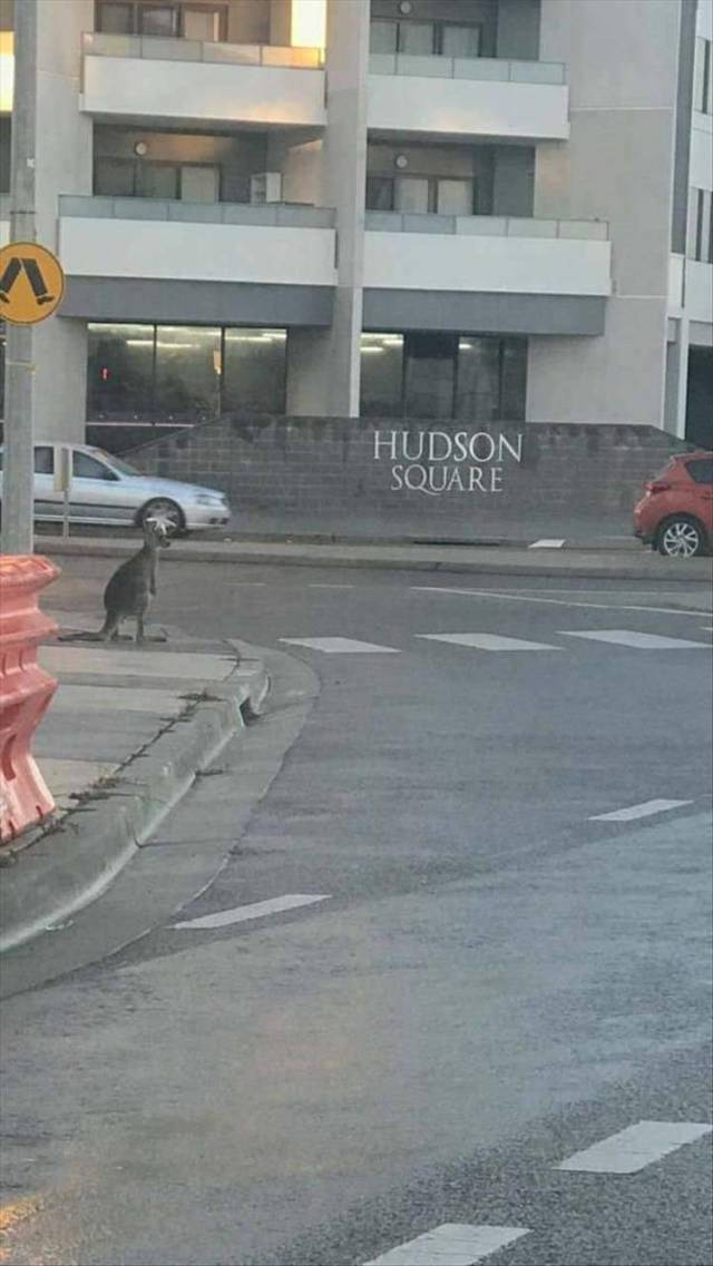 daily picdump 106 pics 9.html - 106 HD Photos | Premium Gallery 2018