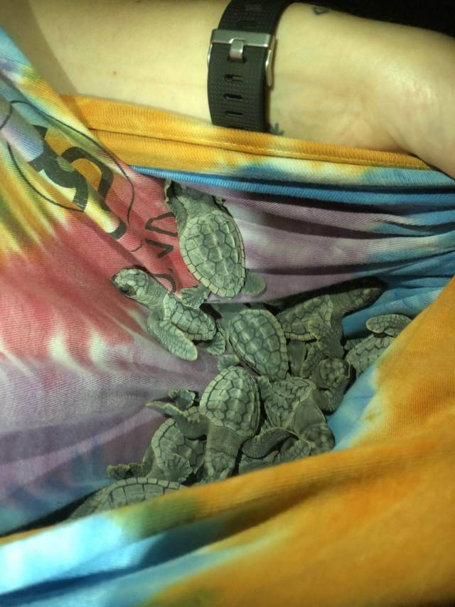 daily picdump 106 pics 9.html - 106 HD Photos | Premium Gallery 2018