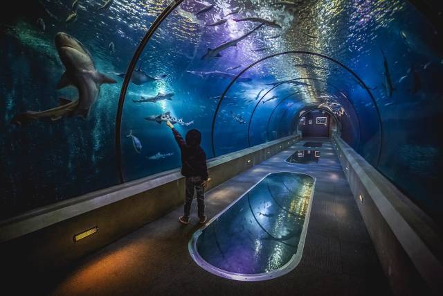 morning picdump 51 pics 26.html - 51 HD Photos | Premium Gallery 2018