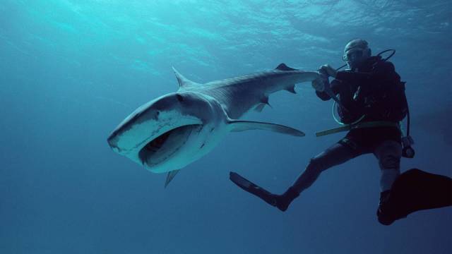 daily picdump 96 pics 9.html - 96 HD Photos | Premium Gallery 2018