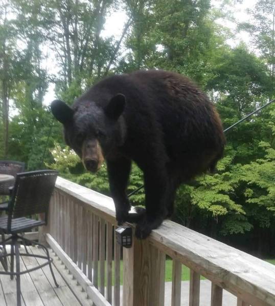 daily picdump 96 pics 9.html - 96 HD Photos | Premium Gallery 2018