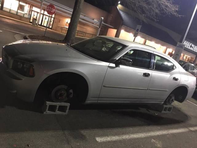 daily picdump 96 pics 9.html - 96 HD Photos | Premium Gallery 2018